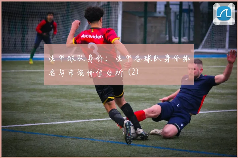 法甲球队身价：法甲各球队身价排名与市场价值分析 (2)
