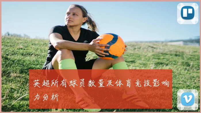 英超所有球员数量及体育竞技影响力分析