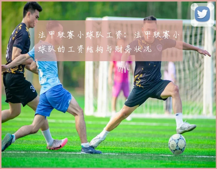 法甲联赛小球队工资:法甲联赛小球队的工资结构与财务状况
