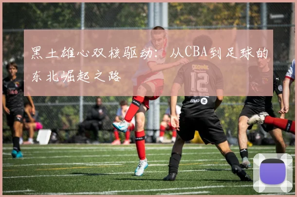 黑土雄心双核驱动：从CBA到足球的东北崛起之路